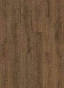 40307_дуб-характерныи-темныи2