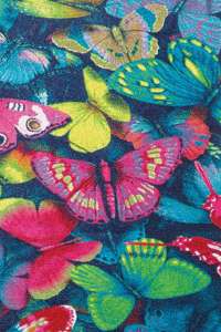 12365_galaxy-kids-17pkp