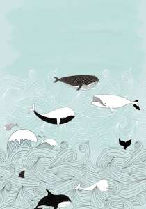 842500 Panno-1000x1000