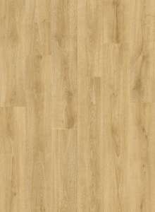 40306_дуб-характерныи-натуральныи2