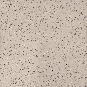 Линолеум Tarkett IQ Era SC 804