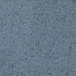 Линолеум Tarkett IQ Era SC 806