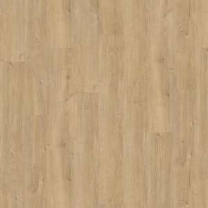 px2shalaejf1cwbkedb546ukiuas2tw0