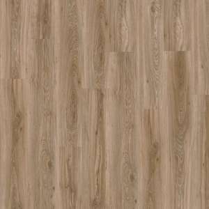 Blackjack Oak 22229-1