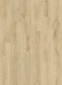 40305_дуб-характерныи-бледныи2