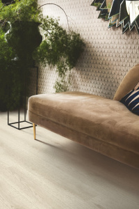 40301_болотныи-дуб-белыи