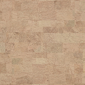 RY1M001_PA