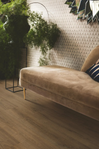 40307_дуб-характерныи-темныи