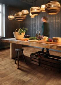 2445b8a0eb60477e664e9307e6281371