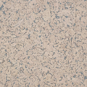 RY1F001_PA