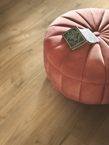 v4307-40224_дуб-хижина-светлыи1