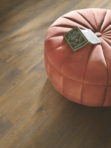 40287_вековои-дуб-темныи