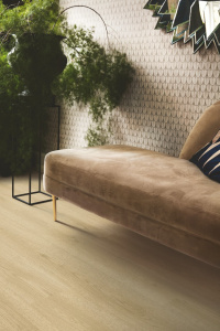 Болотный дуб натруальный