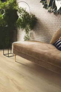 40305_дуб-характерныи-бледныи