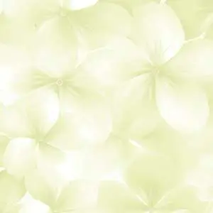 Обои Andrea Rossi Spectrum Boom 54483-5