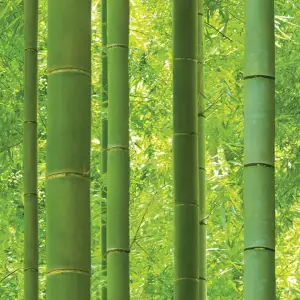 Обои Shinhan Natural 4 88423-1