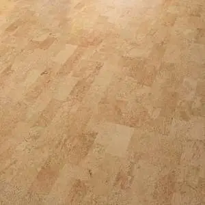 i806002_prespective4