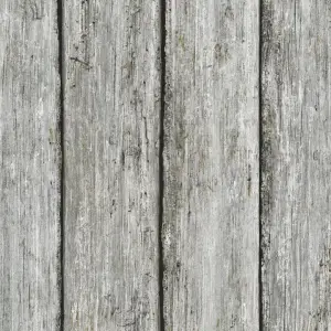 Обои Shinhan Natural 4 88651-2