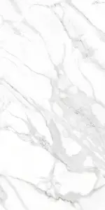 1206031071