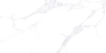 Керамогранит Vizavi Lande (Напольная плитка Lande L12605 1200x600 POLISH)