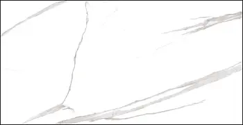 Керамогранит Dogma Project Antibacterial Calacatta (Напольная плитка NEO126001 Calacatta Levigato Rettificato 600*1200 POLISH) Керамогранит Dogma Project Antibacterial Calacatta (Напольная плитка NEO126001 Calacatta Levigato Rettificato 600*1200 POLISH)