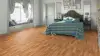 image (1)