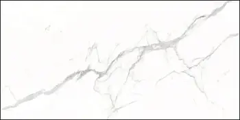 Керамогранит Dogma Project Antibacterial Torino (Напольная плитка DPA601216SN Torino Silk Natural Rettificato 600*1200 MATT) Керамогранит Dogma Project Antibacterial Torino (Напольная плитка DPA601216SN Torino Silk Natural Rettificato 600*1200 MATT)