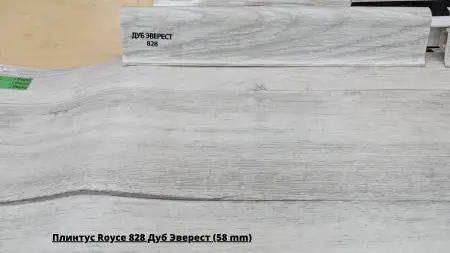  Royce 828   (58 mm) +    Rene 1