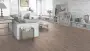 image (2)