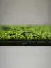 Ковровая плитка Bonkeel Sunrise Green
