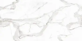  Art Ceramic Venato (  Venato Bianco 60x120 Glossy)