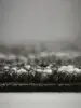 Ковровая плитка Bonkeel Sunrise Greige