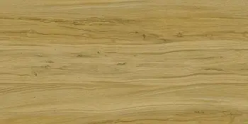 Керамогранит Kerranova Alleya (Напольная плитка Alleya K-2102/SR/600x1200x10)