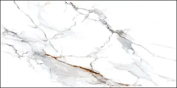 Керамогранит Dogma Project Antibacterial Calacatta (Напольная плитка DPA601205 Calacatta Macchia Vecchia Levigato Rettificato 600*1200 POLISH) Керамогранит Dogma Project Antibacterial Calacatta (Напольная плитка DPA601205 Calacatta Macchia Vecchia Levigato Rettificato 600*1200 POLISH)